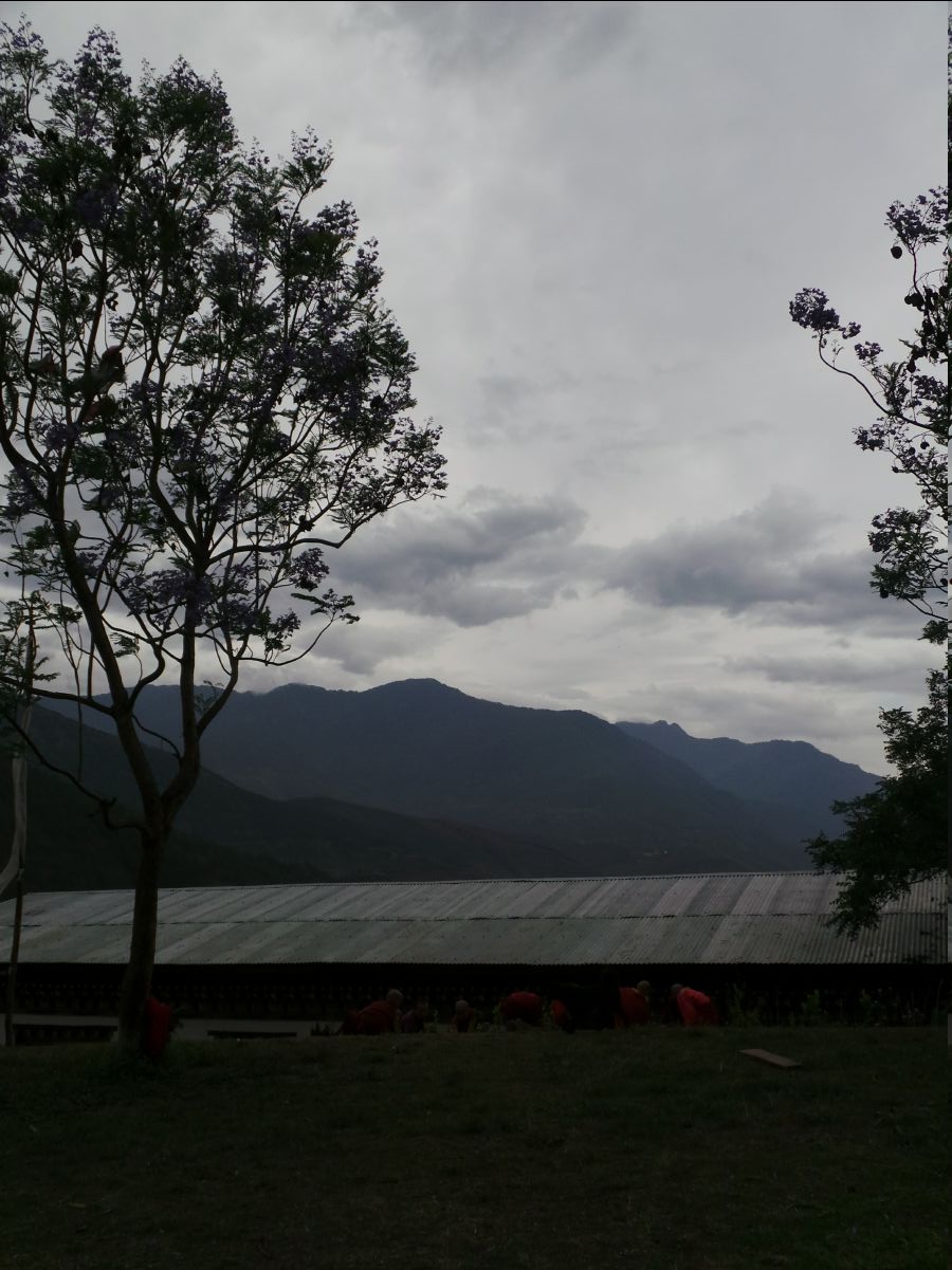 Chemi Lhakang Temple14